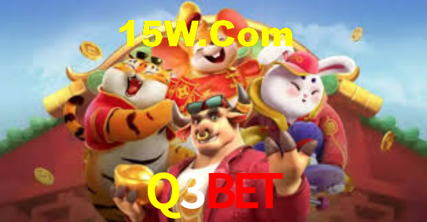 Interface Premium Q3Bet