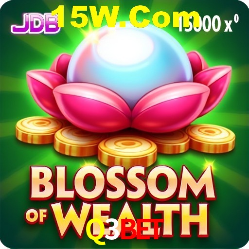 Casino VIP Q3Bet